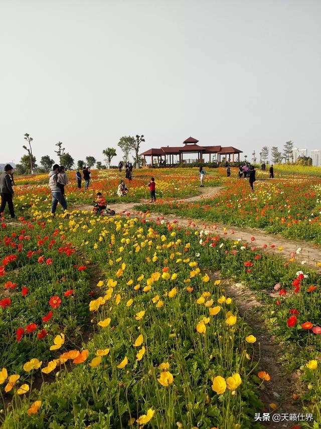 厦门高崎机场附近可以安排哪些景点的旅游